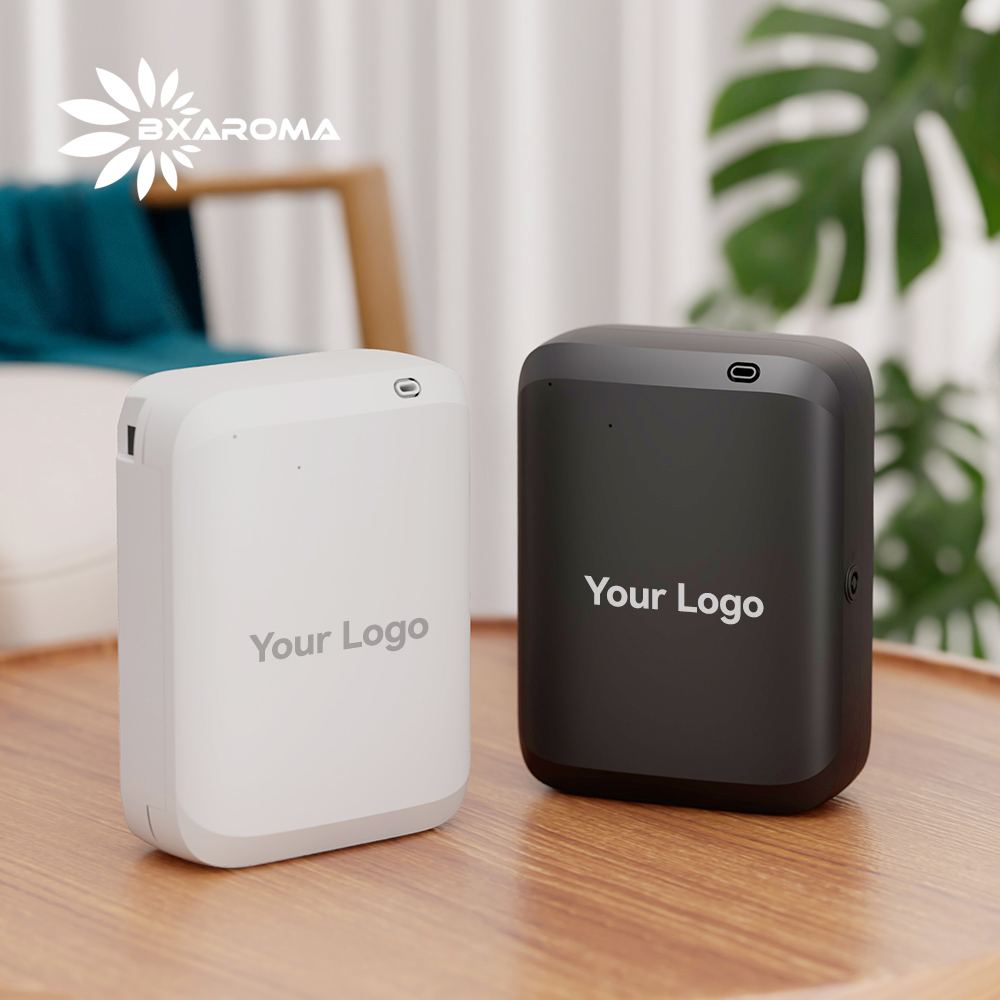 B500 Portable Dual-Power Scent Diffuser