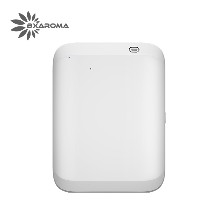 B500 Portable Dual-Power Scent Diffuser