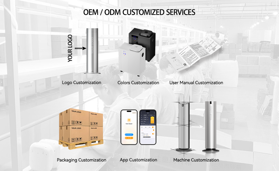Customized Service Low MOQ